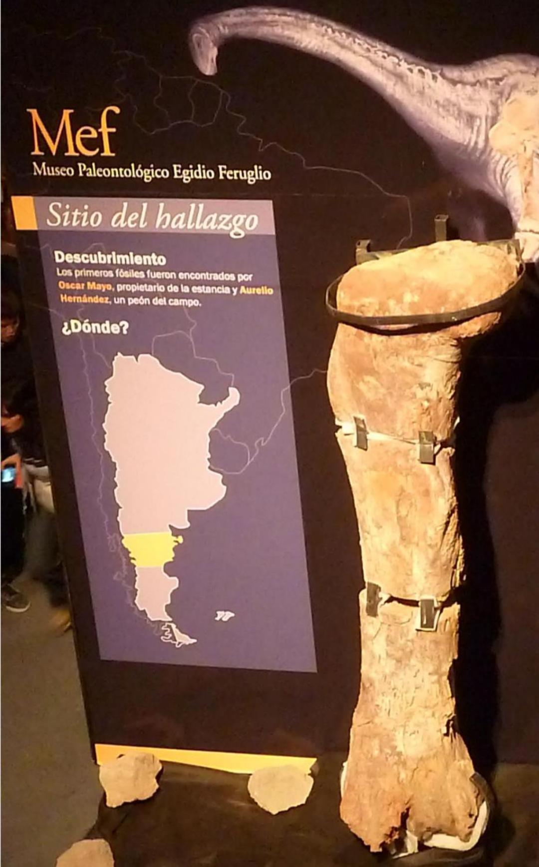 Departamentos Ensuenos Leilighet Trelew Eksteriør bilde